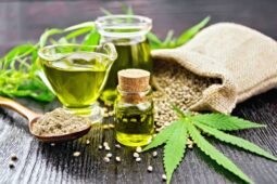 Produtos feitos a base de cannabis