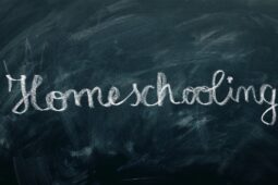 o que é homeschooling