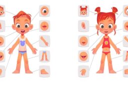 Atividades para educação infantil de corpo humano